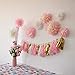 Mybbshower Pink White Paper Flower 9 pcs (11''-7'' Assorted) Girls Birthday Baby Shower Centerpiece Home Living Room Decoration Garden Outdoor Party Backdrop