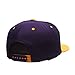 Zephyr Adult Men Reflector Snapback