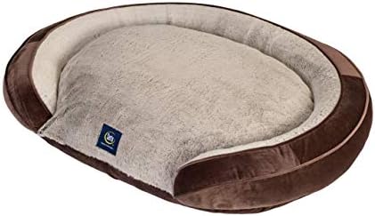 is it safe to feed dogs raw meat