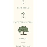 How Does Sanctification Work?