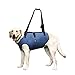Coodeo Dog Lift Harness, Pet Support & Rehabilitation Sling Lift Adjustable Padded Breathable Straps for Old, Disabled, Joint Injuries, Arthritis, Loss of Stability Dogs Walk (Blue, XL)
