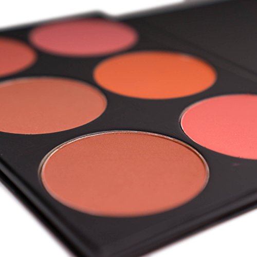 SHANY The Masterpiece 6 Colors Large Makeup Blush Palette - SHE'S NOT SHY