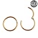 WensLTD Seamless Hinged Segment Sleeper Clicker Ring Hoop Ear Lip Nose Septum Piercing (Rose Gold)