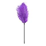 Sexy Funny Feather Whip Adult Naughty Spanking Couple Sex Game Foreplay SM Slave Sex Flirting Purple