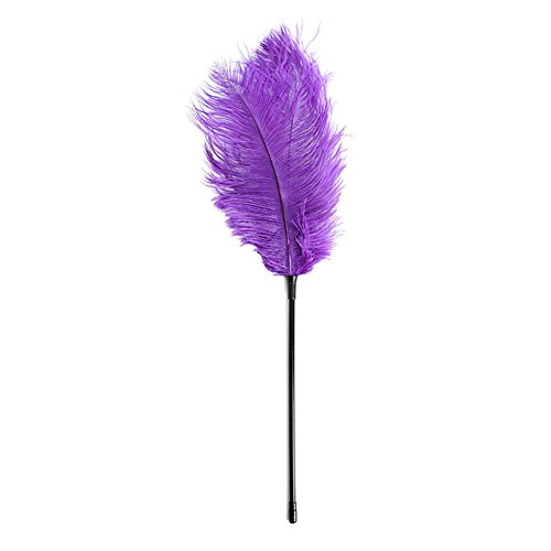 Sexy Funny Feather Whip Adult Naughty Spanking Couple Sex Game Foreplay SM Slave Sex Flirting Purple Sexy Funny Feather Whip Adult Naughty Spanking Couple Sex Game Foreplay SM Slave Sex Flirting Purple
