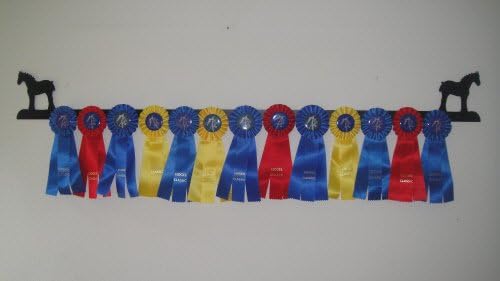 Showoff award racks - Horse
