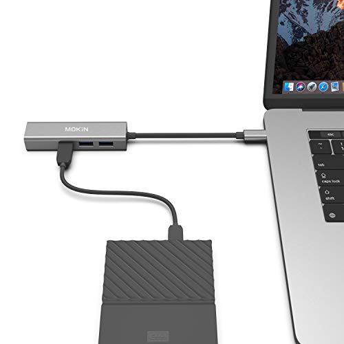 2 USB+C+Gigabit+Ethernet+Adapter+Thunderbolt