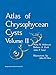 Atlas of Chrysophycean Cysts: Volume II (Developments in Hydrobiology Book 157) by 