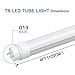 SHINE HAI T8 LED Light Tube 48W Equivalent 4ft, Single-Ended Power, 5000K Daylight White, Frosted Cover, G13 Lighting Fixtures, Pack of 12