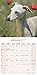 Italian Greyhound Calendar 2017 - Dog Breed Calendars - 2016 - 2017 wall calendars - 16 Month by Avonside