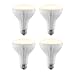 Sengled Smart LED Soft White BR30 Light Bulb, Hub Required, 2700K 65W Equivalent, Works with Alexa, Google Assistant & SmartThings, 4 Pack primary