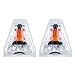 DREAM YOY Easy Valve Replacement Balloon Bags with Adapter Pack of 2