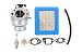 Carburetor Air Filter Tune-Up Kit For Honda HRZ216 HRB216 HRT216 HRR216 GCV160A HRS216 GCV160 GCV160LA GCV160LA0 GCV135 Engine Motor Husky Power Troy-Bilt Pressure Washer Lawnmower Poulan Mower