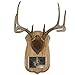 Walnut Hollow Country Deluxe Antler Display Kit with Photo Frame, Oak,Gray