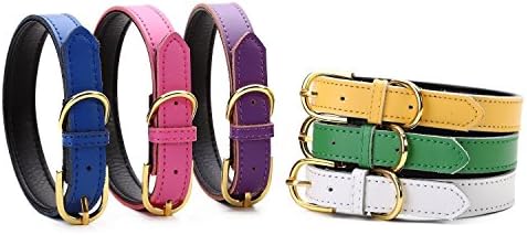 Petween Basic Classic Padded Leather Pet Collars for Cats Puppy Small Medium Dogs