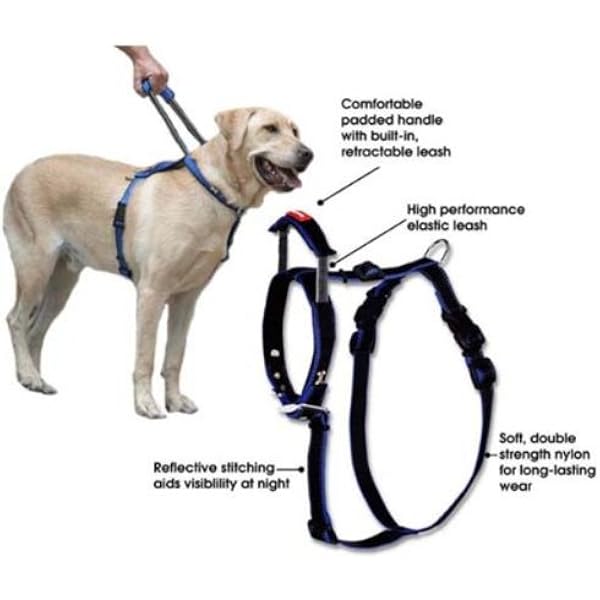 home bargains dog harness
