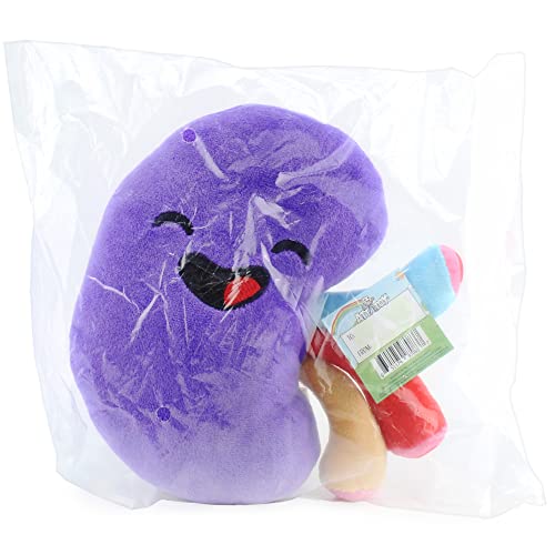 Attatoy Plush Kidney, Stuffed Body Organ Toy for Get Well Gift, Health