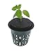 HORTIPOTS 2 Inch Net Pot 2 in Wide Rim Design with Reflective Net Pot Lids (Set of 75)