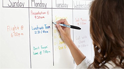 Expo 16001 Vis-A-Vis Wet Erase Markers - for Use on Overhead Projectors, Transparencies and Laminated Calendars - Fine Point, Pack of 2, Total of 24 Markers - Thumbnail 3