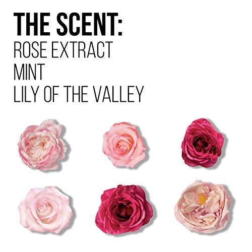 Amazon Com Pantene Shampoo And Sulfate Free Conditioner Kit Paraben And Dye Free Pro V Blends Soothing Rose Water 17 9 Fl Oz Twin Pack Beauty