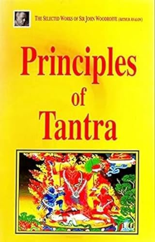 Art of Tantra (World of Art): Rawson, Philip S: 9780500201664