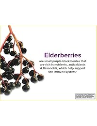 Zarbee's Elderberry Immune Support, 276, 1