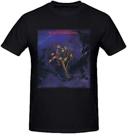 Heeloo Men's The Moody Blues On the Threshold of a Dream Personalized Big T Shirt