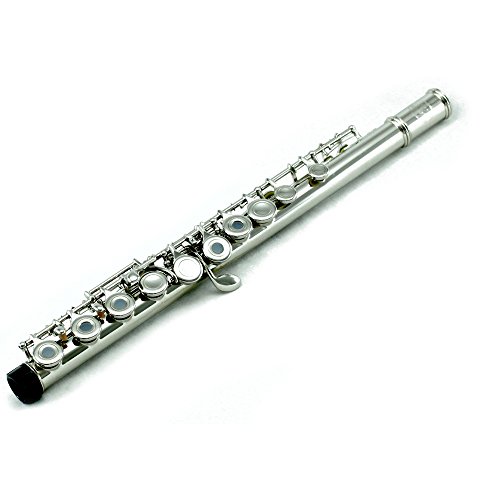 image for Sky Music Sky C Flute with Lightweight Case, Cleaning Rod, Cloth, Join