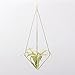 NCYP Tillandsia Air Plants Holder Freestanding Hanging Matte Golden Quadrilateral Pyramid Teardrop Shape Geometric Flowers Rack for Wedding Wall Decor 10 inch (No Plants)