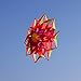 Besra Large Single Line Lotus Flower Box Kite 55inch 3D Diamond Kite with Flying Tools Outdoor Fun Sports for Kids & Adults (55inch)