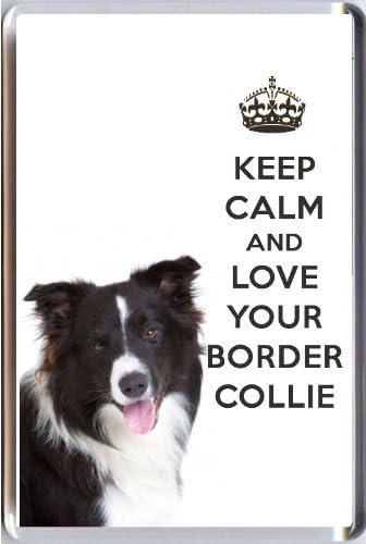 how to calm a border collie