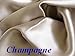 Feeling Pampered Set of 2 Champagne 100% Mulberry Silk Pillowcase Queen/standard for Hair and Facial Beauty