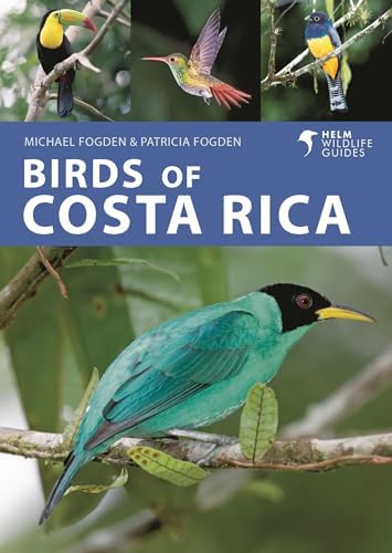 A Field Guide to Birds of the West Indies (Peterson Field Guide