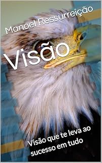 Livro Visão: Visão que te leva ao sucesso em tudo