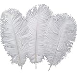 Sowder 10pcs Ostrich Feathers 12-14inch(30-35cm) for Home Wedding Decoration(White)