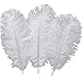 Sowder 10pcs Ostrich Feathers 12-14inch(30-35cm) for Home Wedding Decoration(White) primary