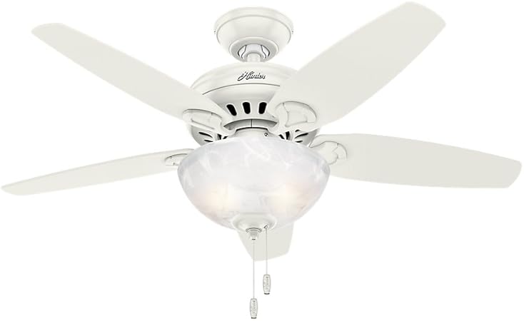 Hunter Indoor Ceiling Fan With Light And Pull Chain Control