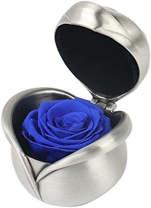 Rocoye Handmade Preserved Flower Rose Never Withered Roses Upscale Immortal Flowers, For Women, Her, Girls, Sister, Anniversary, Birthday, Wedding Blue Rose