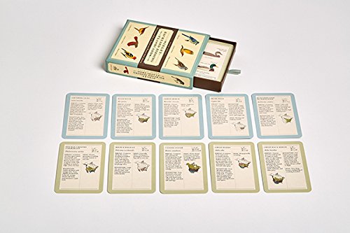 Sibley Backyard Birding Flashcards: 100 Common Birds of Eastern and