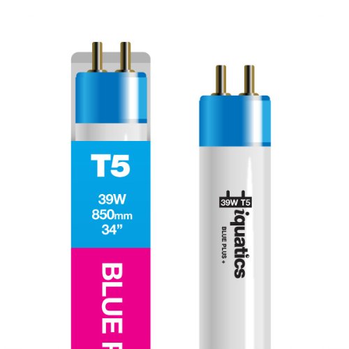 39W T5 Blue Plus +