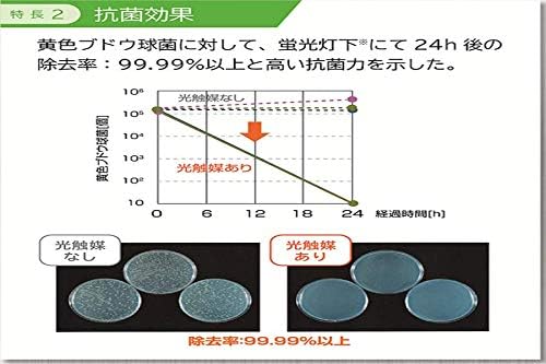 スリーボンド Threebond 可視光応答型光触媒スプレー 全量噴射タイプ 品番 Tb6735 車用消臭 除菌剤 車 バイク Amazon