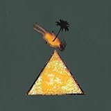 MELT YOURSELF DOWN (W / CD)                        image