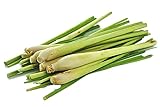 6 Fresh Lemon Grass