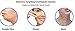 Fat Freezer Face Chin and Neck Sculpting System Targets Areas Around The Chin, Neck and Face, Double Chin and Sagging Neck Remover