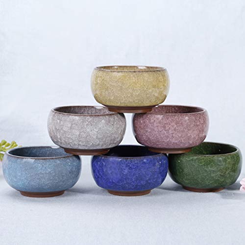 G-LEAF Succulent Plant Pot, Ceramic Cactus Planter Small Flower Pots, Chinese Style Decor Herb Plant Holder for Indoor Outdoor Home Garden Office Plant Container, (6, Coloful)