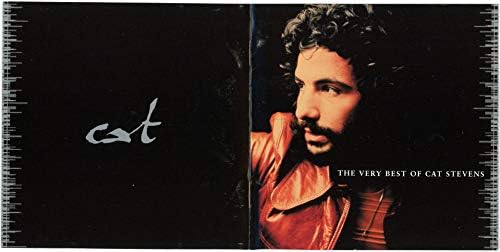 Amazon.com: Teaser And The Firecat: CDs & Vinyl