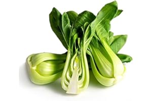 FRESH PRODUCE (BRANDS MAY VARY) Organic Baby Bok Choy, 3 Count