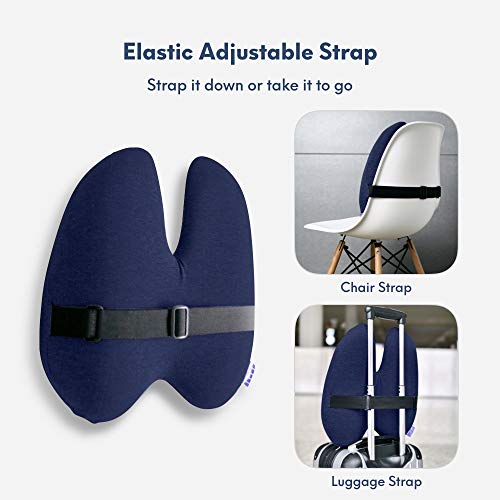 Cushion Lab Extra Dense Lumbar Pillow Patented Ergonomic MultiRegion