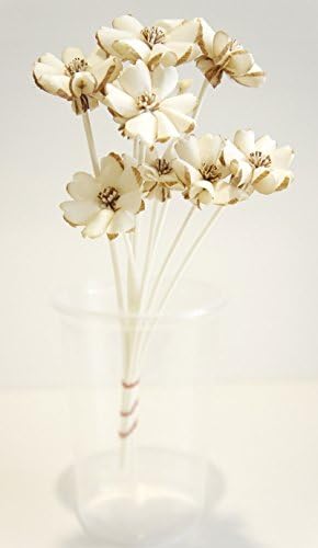 10 Plumeria Design Sola Flower for Aroma Diffuser Diameter 1 1/2 Set of 10 by Plawanature