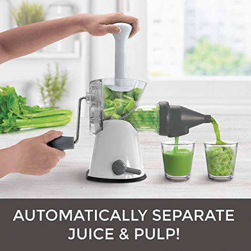 Mueller Masticating SlowJuicer forCelery, Wheatgrass, Kale, Spinach